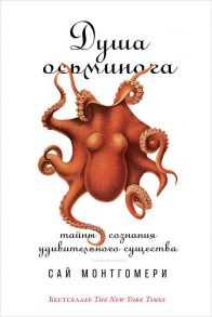 Душа осьминога: Тайны сознания удивительного существа (обложка) / Монтгомери Сай