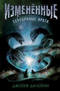 Серебряные врата - Дилейни Джозеф