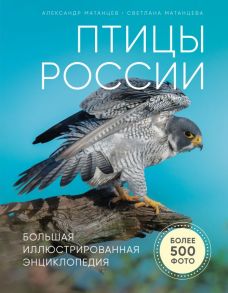 Птицы России. Большая иллюстрированная энциклопедия - Матанцев Александр Николаевич