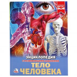 ТЕЛО ЧЕЛОВЕКА (ЭНЦИКЛОПЕДИЯ А4). ТВЕРДЫЙ ПЕРЕПЛЕТ. БУМАГА МЕЛ, 48 СТР.,  в кор.15шт / Волцит Петр Михайлович