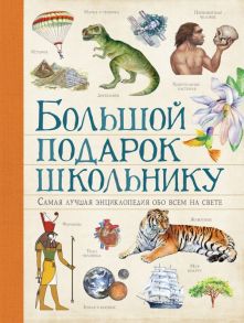 Большой подарок школьнику / Ачети Лаура, Скудери М.