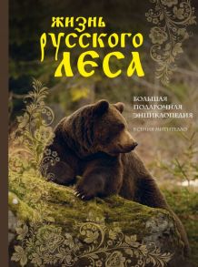 Жизнь русского леса (издание дополненное и переработанное) (медведь) - Митителло Ксения Борисовна