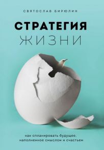 Стратегия жизни. Как спланировать будущее, наполненное смыслом и счастьем - Бирюлин Святослав Борисович