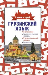 Грузинский язык. 4 книги в одной: разговорник, грузинско-русский словарь, русско-грузинский словарь, грамматика - Косоуров Дмитрий Алексеевич