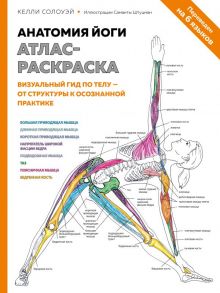 Анатомия йоги: атлас-раскраска. Визуальный гид по телу — от структуры к осознанной практике - Солоуэй Келли