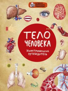 Тело человека - Лукашанец Дмитрий Александрович, Мазур Оксана Чеславовна, Никитинская Татьяна Владимировна