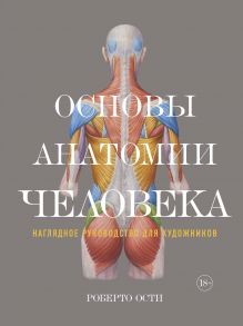 Основы анатомии человека. Наглядное руководство для художников / Ости Роберто