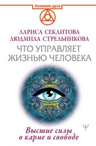 Что управляет жизнью человека. Высшие силы о карме и свободе - Стрельникова Людмила Леоновна