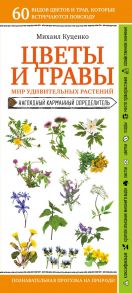 Цветы и травы. Мир удивительных растений - Куценко Михаил Евгеньевич