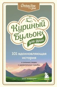 Куриный бульон для души: 101 вдохновляющая история о сильных людях и удивительных судьбах - Ньюмарк Эми