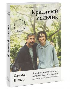 Красивый мальчик. Правдивая история отца, который боролся за сына - Шефф Дэвид