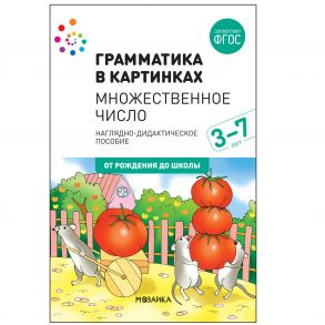 Наглядное пособие. Грамматика в картинках. Множественное число (2-е издание)