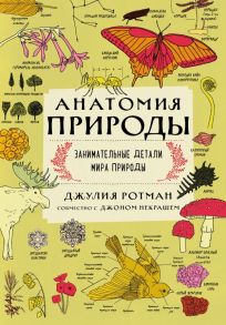 Анатомия природы. Занимательные детали мира природы - Ротман Джулия