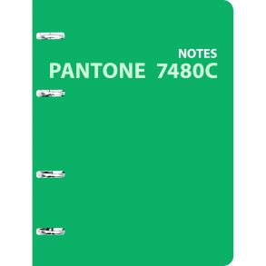 Pantone line. No. 8