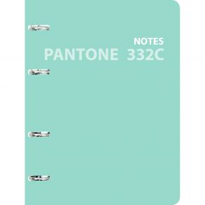 Pantone line. No. 5