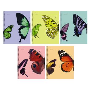 Butterflies