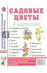 Садовые цветы в картинках. Наглядное пособие для педагогов, логопедов, воспитателей и родителей