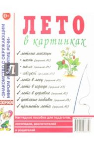 Лето в картинках. Наглядное пособие для педагогов, логопедов, воспитателей и родителей