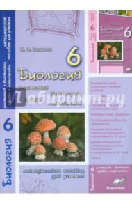 Биология. 6 класс. Растения. Бактерии. Грибы. Лишайник. Методическое пособие для учителя / Бодрова Наталия Федоровна