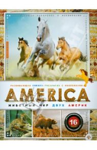 AMERICA. Животный мир двух Америк