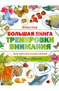 Большая книга тренировки внимания