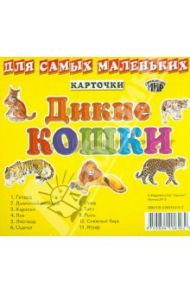 Карточки "Дикие кошки"