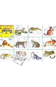 Плакат "Дикие кошки" (50х70 см)