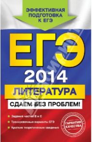 ЕГЭ-2014. Литература. Сдаем без проблем! / Михайлова Екатерина Викторовна