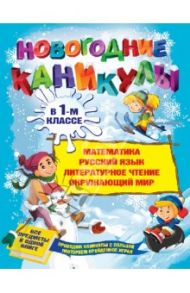 Новогодние каникулы в 1-м классе / Старостина Светлана Анатольевна