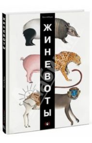 ЖИНЕВОТЫ / Пито Франческо