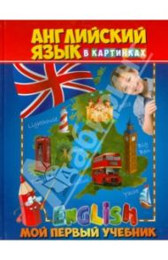 Английский язык в картинках. Мой первый учебник / Молодченко Дарья Алексеевна