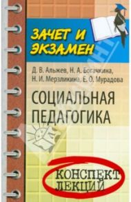 Социальная педагогика. Конспект лекций / Альжев Давид Витальевич, Богачкина Наталия Александровна, Мерзликина Наталья Ивановна