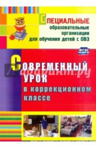 Современный урок в коррекционном классе / Нелипенко Татьяна Ивановна