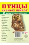 Раздаточные карточки "Птицы разных широт" (16 карточек)