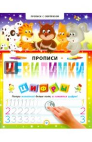 Прописи-невидимки. Цифры