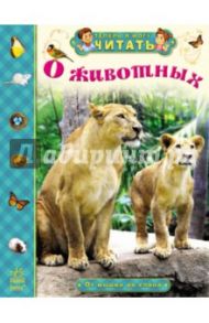 О животных. От мышки до слона / Полулях Наталия Сергеевна