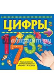 Цифры / Буланова Софья Александровна