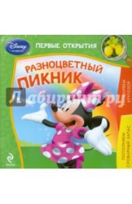 Разноцветный пикник