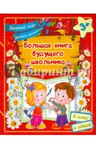 Большая книга будущего школьника / Ищук Евгения Сергеевна