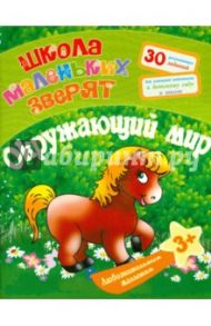 Любознательным малышам. Окружающий мир / Ищук Евгения Сергеевна