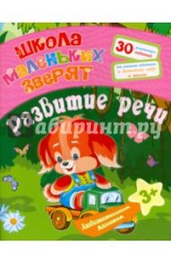 Любознательным малышам. Развитие речи / Ищук Евгения Сергеевна