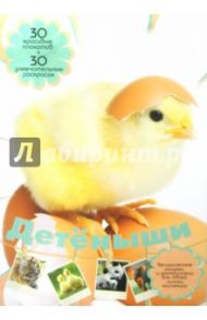 Детёныши / Торманова Анна Сергеевна