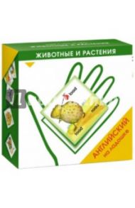 Английский на ладошке. Животные и растения / Зайцева Ксения Анатольевна