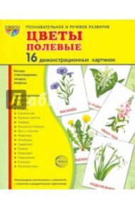 Демонстрационные картинки "Цветы полевые" (173х220 мм) / Цветкова Т. В.