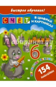 Счет в цифрах и картинках / Виноградова Е. А.
