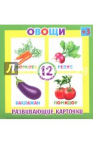 Развивающие карточки Овощи (12 штук) (37271-50)