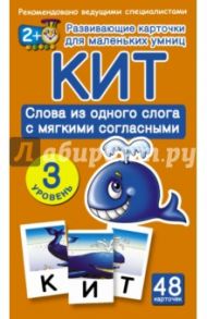Кит. Слова из одного слога с мягкими согласными. 3 уровень