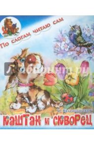 Каштан и скворец / Красильников Николай Николаевич