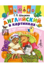 Английский в картинках / Шалаева Галина Петровна