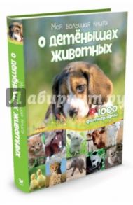 Моя большая книга о детенышах животных. 1000 фотографий